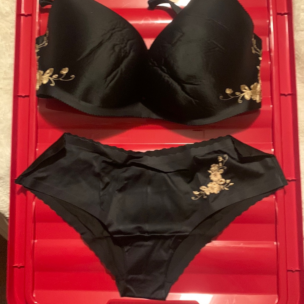 Victoria Secret Angels Secret Embrace Size 36dd With Matching Bikini